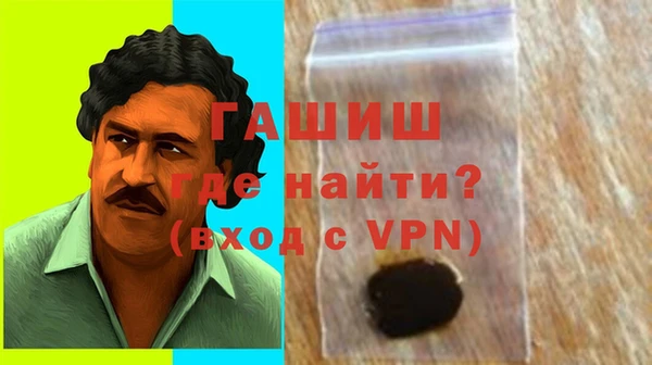 гашик Алексин