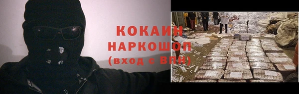 гашик Алексин