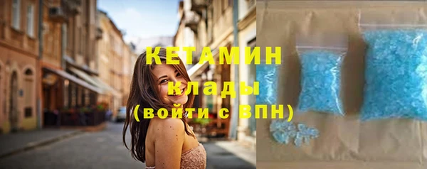 гашик Алексин