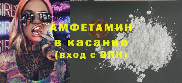 гашик Алексин