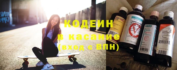гашик Алексин