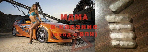 гашик Алексин